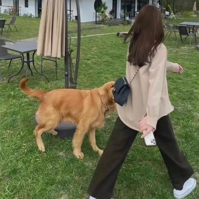 乐队唱聊吧